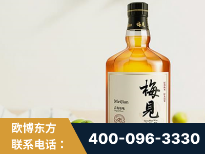 衢州-梅见青梅酒